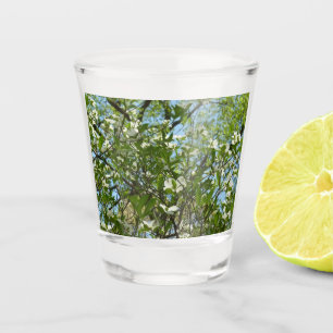 Zweige von Dogwood-Blüten Frühlingsbäume Schnapsglas