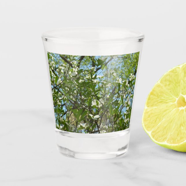 Zweige von Dogwood-Blüten Frühlingsbäume Schnapsglas (Vorderseite)