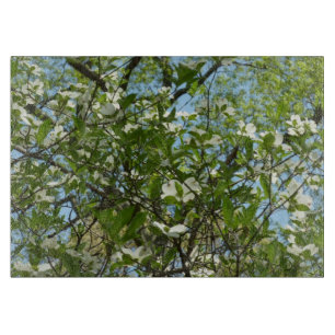 Zweige von Dogwood-Blüten Frühlingsbäume Schneidebrett