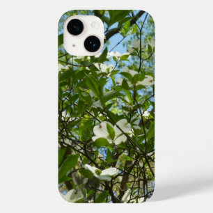 Zweige von Dogwood-Blüten Frühlingsbäume title_seo2