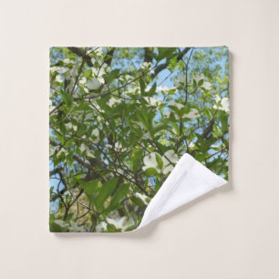 Zweige von Dogwood-Blüten Frühlingsbäume Waschlappen