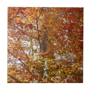 Zweige von orangen Blättern Herbst Natur Fliese