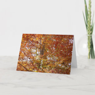 Zweige von orangen Blättern Herbst Natur Karte