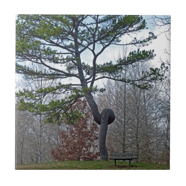 zweigezogener Baum Fliese (Vorderseite)