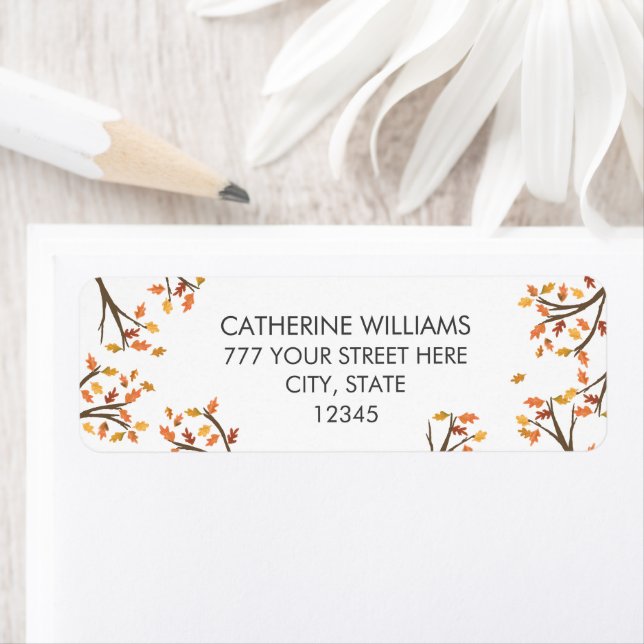 Zweigniederlassung Autum Herbstlaub der weißen Rüc (Insitu)