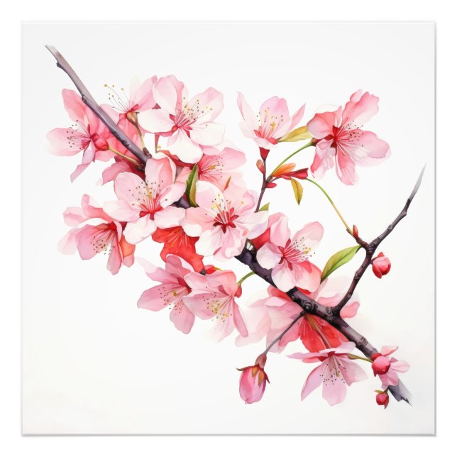 Zweigniederlassung Cherry Blume Fotodruck (Vorne)