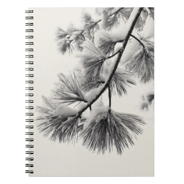 Zweigniederlassung für das Snowy Pine Needle Noteb Notizblock (Vorderseite)