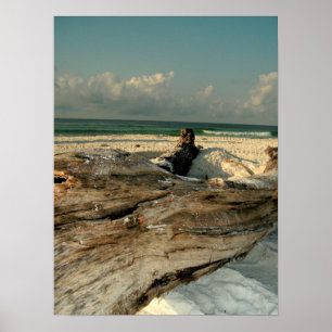 Zweigstelle am Strand Poster