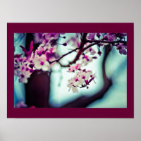 Zweigstelle Cherry Blossom