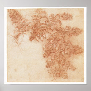 Zweigstelle einer BlackBerry, Leonardo Da Vinci Poster