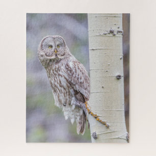 Zweigstelle Great Gray Aspen Tree