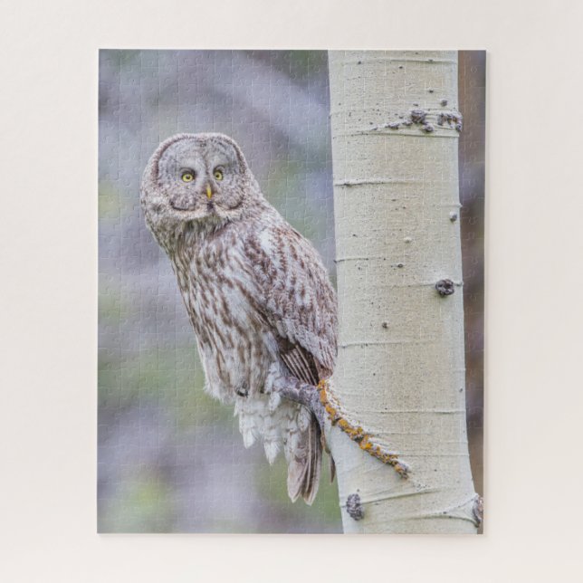 Zweigstelle Great Gray Aspen Tree (Vertikal)