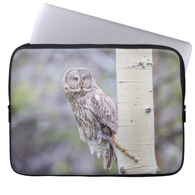 Zweigstelle Great Gray Aspen Tree Laptopschutzhülle (Vorderseite)