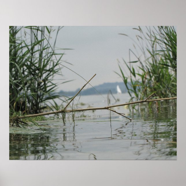 Zweigstelle im Flachwasser Poster (Vorne)