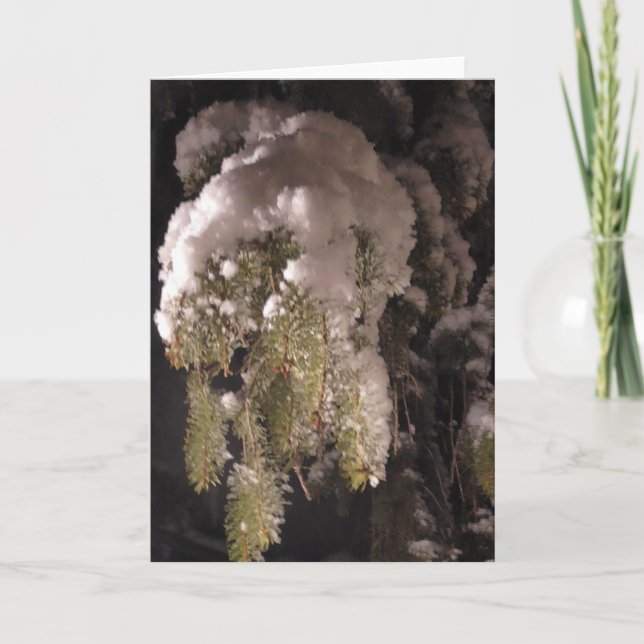 Zweigstelle Kiefernbaum, bedeckt in einem schneewe Karte (Vorderseite)