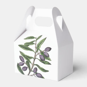 Zweigstelle Olivenbaum   Lila grün Geschenkschachtel