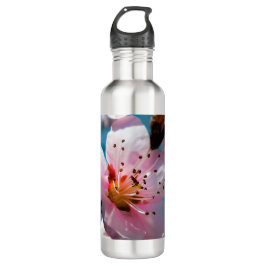 Zweigstelle Peach Blossom und Blue Sky Edelstahlflasche