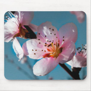 Zweigstelle Peach Blossom und Blue Sky Mousepad