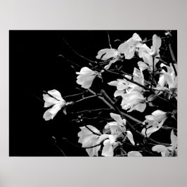 Zweigstellen Magnolia Kunst Poster