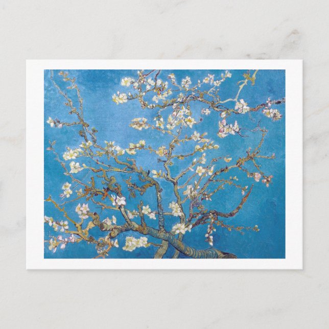 Zweigstellen mit Almond Blossom Van Gogh Postkarte (Vorderseite)