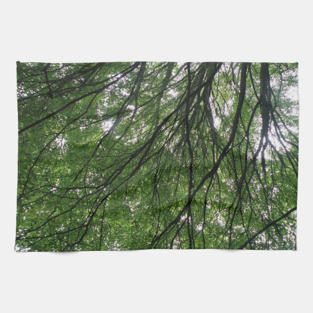 Zweigstellen und Blätter Küchentücher (Horizontal)