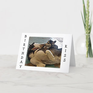 ZWEIMAL GEBURTSTAG KISSES = PUP-FOTOGRAFIE KARTE