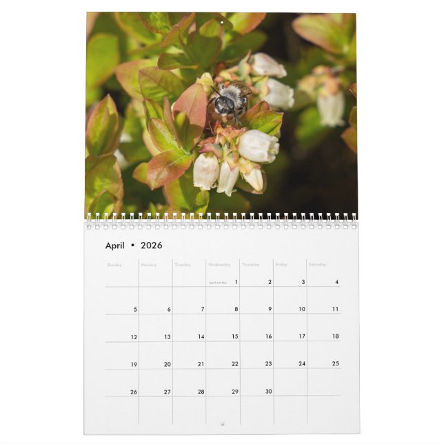 Zweiseiten Mittelkalender, weißer Kalender (Apr 2026)