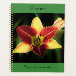 Zweitöniger Lily-Planer Planer