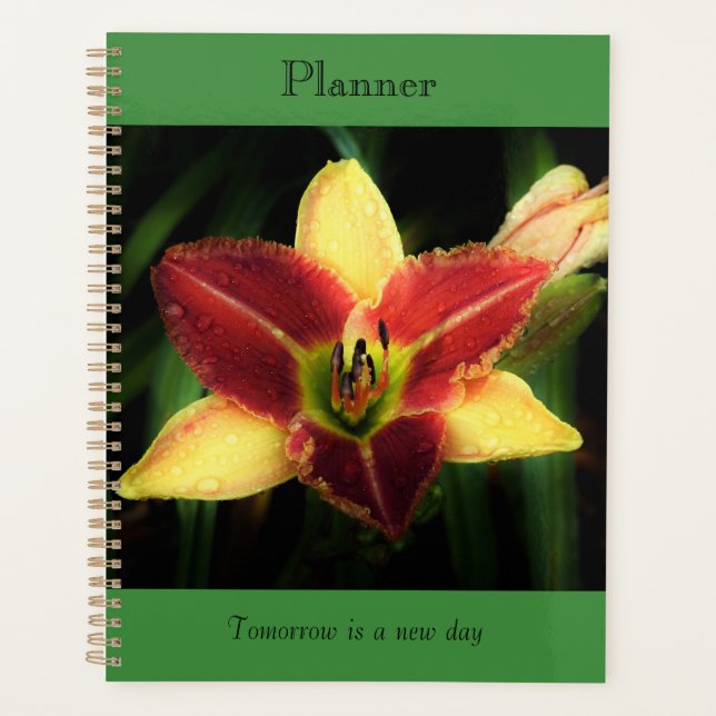 Zweitöniger Lily-Planer Planer (Vorderseite)