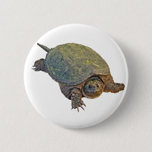 Zwerchschildkröte - Serpentina Chelydra Button
