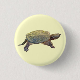 Zwerchschildkröte - Serpentina Chelydra Button