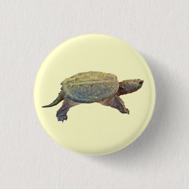 Zwerchschildkröte - Serpentina Chelydra Button (Vorderseite)