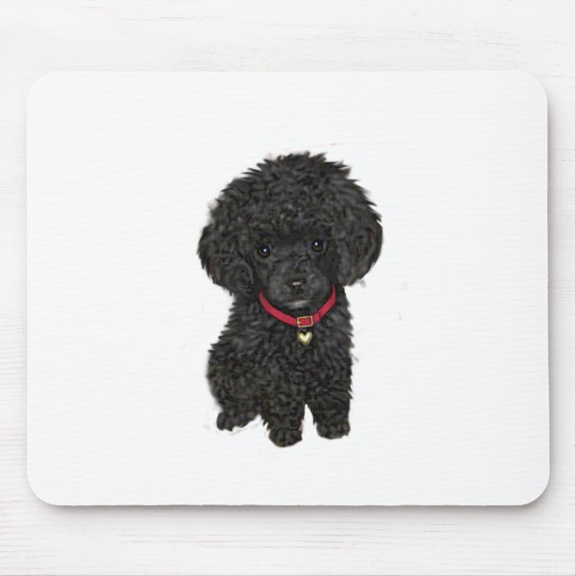 Zwerg- oder Toy-Pudel - Schwarz 1 Mousepad (Vorne)
