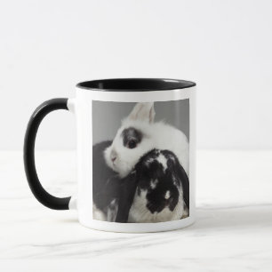 Zwerg-ohriges Kaninchen, das über mit Hängeohren Tasse