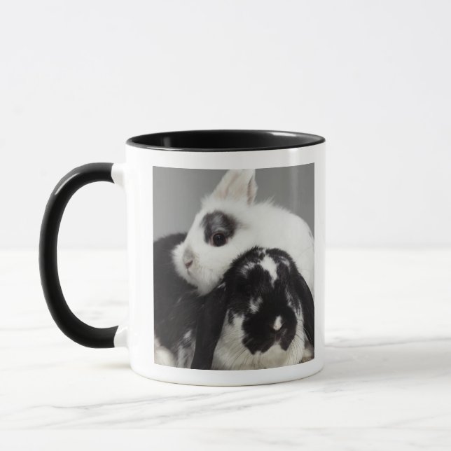 Zwerg-ohriges Kaninchen, das über mit Hängeohren Tasse (Links)