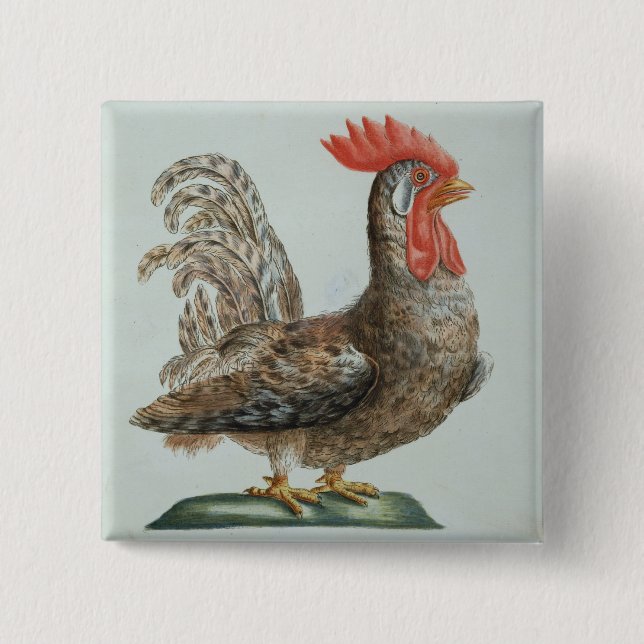 Zwergartiger junger Hahn, c.1767-76 (Hand farbiger Button (Vorderseite)