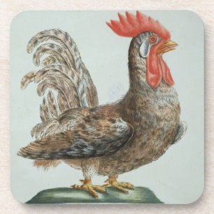 Zwergartiger junger Hahn, c.1767-76 (Hand farbiger Getränkeuntersetzer