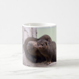 Zwergartiger Mungo-Kuss Kaffeetasse