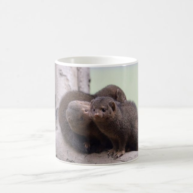 Zwergartiger Mungo-Kuss Kaffeetasse (Mittel)