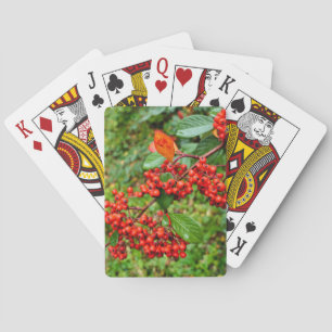 Zwergmilch Spielkarten