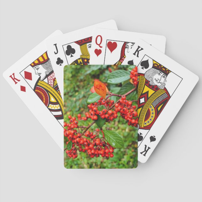 Zwergmilch Spielkarten (Rückseite)