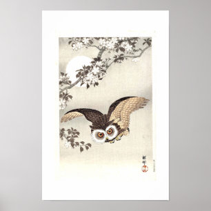 Zwergohreule, Kirschblüten und Mond Poster