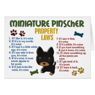 Zwergpinscher-Eigentums-Gesetze 4