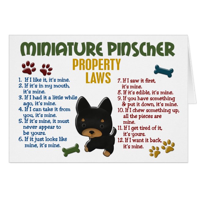 Zwergpinscher-Eigentums-Gesetze 4 (Vorderseite (Horizontal))
