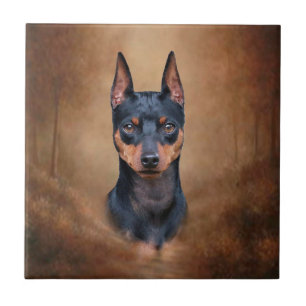 Zwergpinscher Fliese
