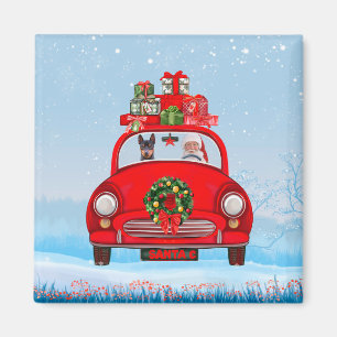 Zwergpinscher-Hund im Auto mit dem Weihnachtsmann Magnet