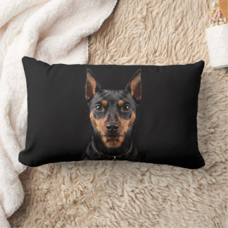 Zwergpinscher isoliert auf schwarzem Hintergrund Lendenkissen