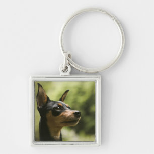 Zwergpinscher (Minute-Button) Schlüsselanhänger