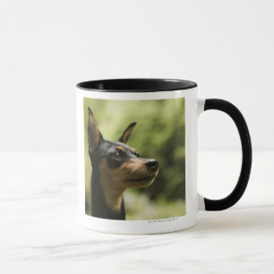 Zwergpinscher (Minute-Button) Tasse