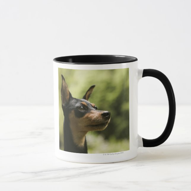 Zwergpinscher (Minute-Button) Tasse (Rechts)
